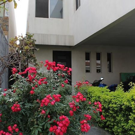 Consulado Suites 蒙特雷 外观 照片